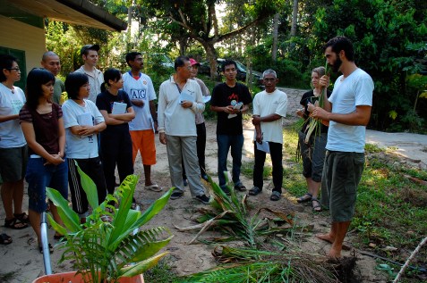 Gatuier demonstrating root division