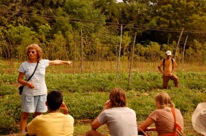 Buddha Garden Auroville, India