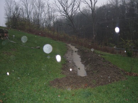 swale with water cincinnati permaculture
