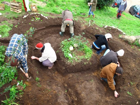 permaculture rain garden