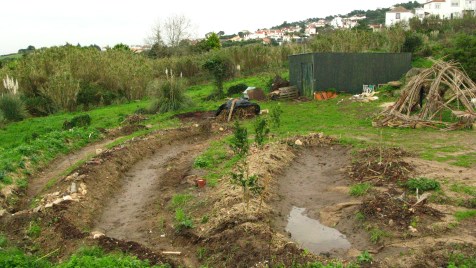 permaculture swales herring bone