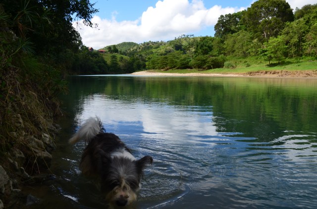 The river and Piggy