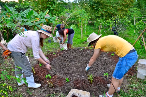 Papaya Circle implementation