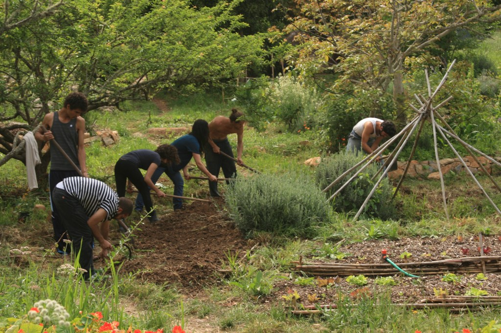 Food Forests Course Terra Alta, Portugal, April&nbsp;2016