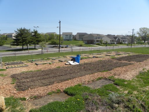 Bond hill urban greens -urban agriculture Cincinnati