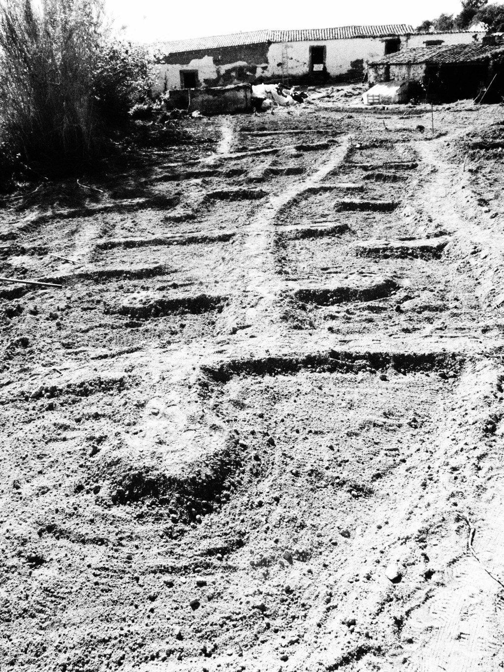 Zone 1 Garden Establishment- Herdade de Lage, Casteloa,&nbsp;Portugal