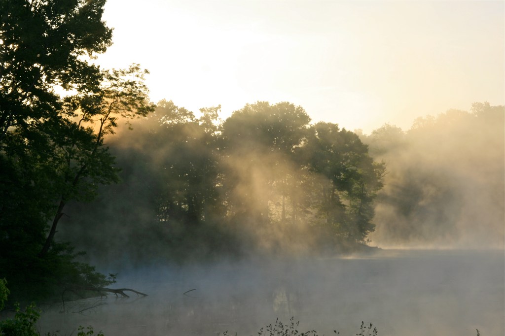 Treasure Lake/ Forest Blog: 16+ years of on and off&nbsp;management