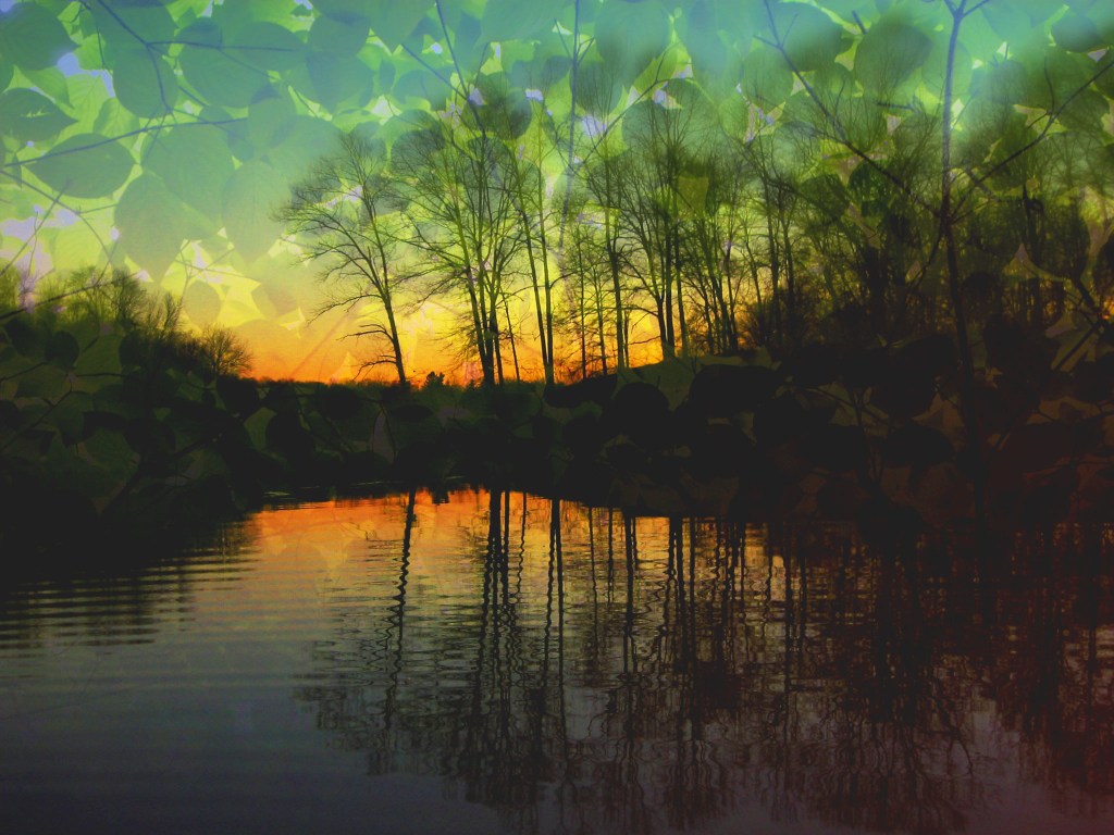 Pollination Fest- A Long Standing Vision manifested (Part One, the buildup)