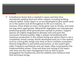 quick description of a food forest