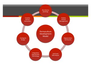 permaculture development model