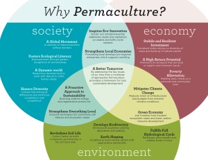 Why Permaculture Graphic