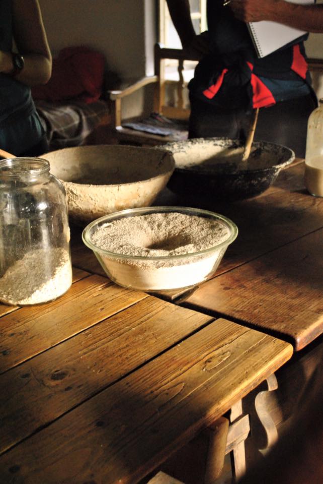 Permaculture Design Course Eastern Europe, Slovakia Aug-Sept&nbsp;2016