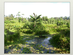 Perma-Aquaculture at Quinta dos Sete Nomes, Sintra, Portugal, July&nbsp;2016