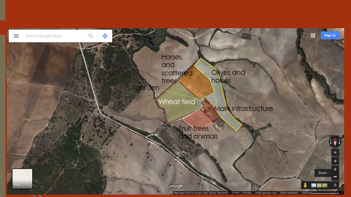Maps: how to procure them, read them, and use&nbsp;them