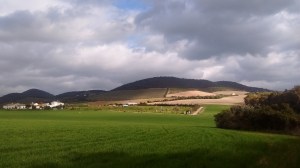 The wheat field from the far corner of the land in March, 2016
