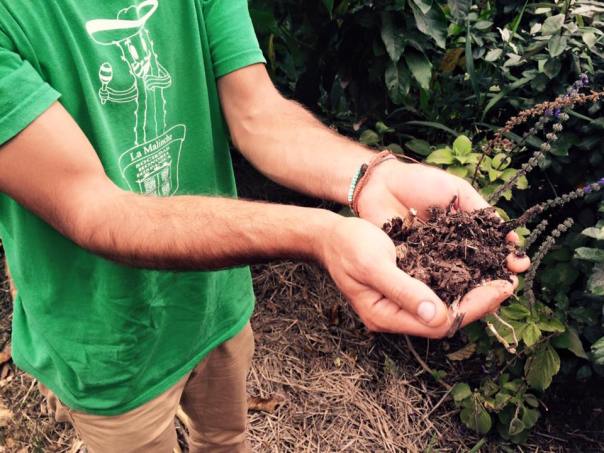 the soil built from the years of hard work