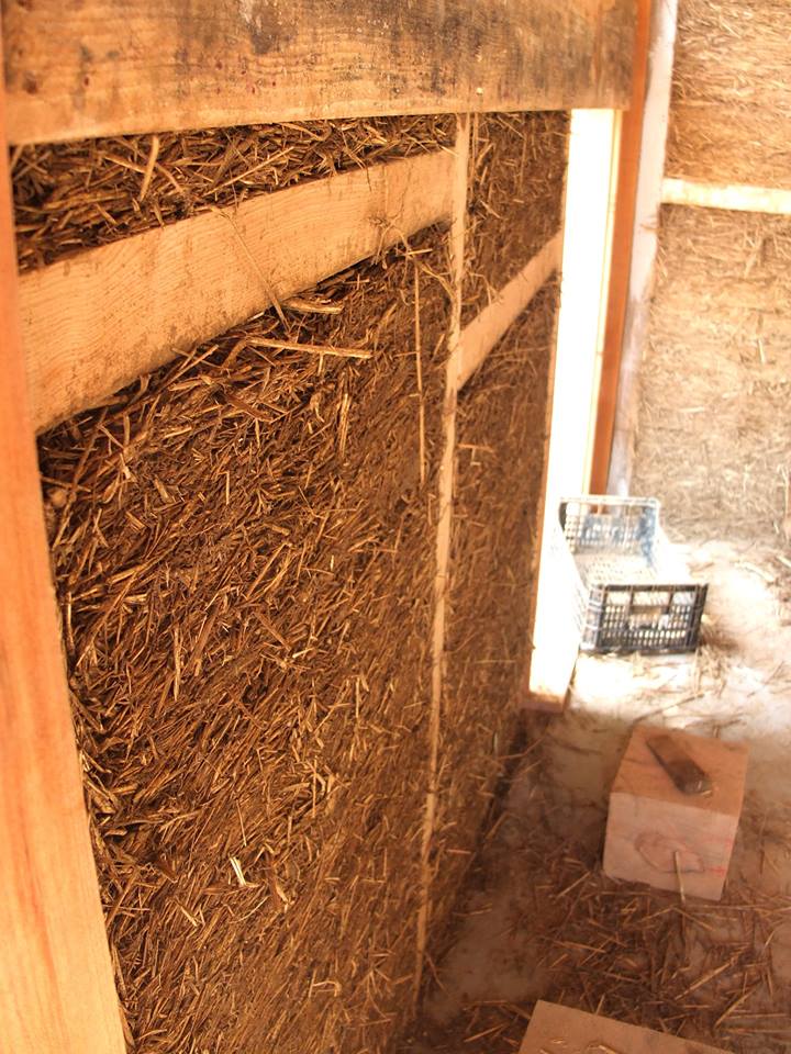 July-August 2016: 6 Week Permaculture Internship: Terra Alta, Sintra,&nbsp;Portugal