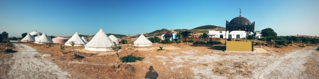 Suryalila Quick Exit&nbsp;Update