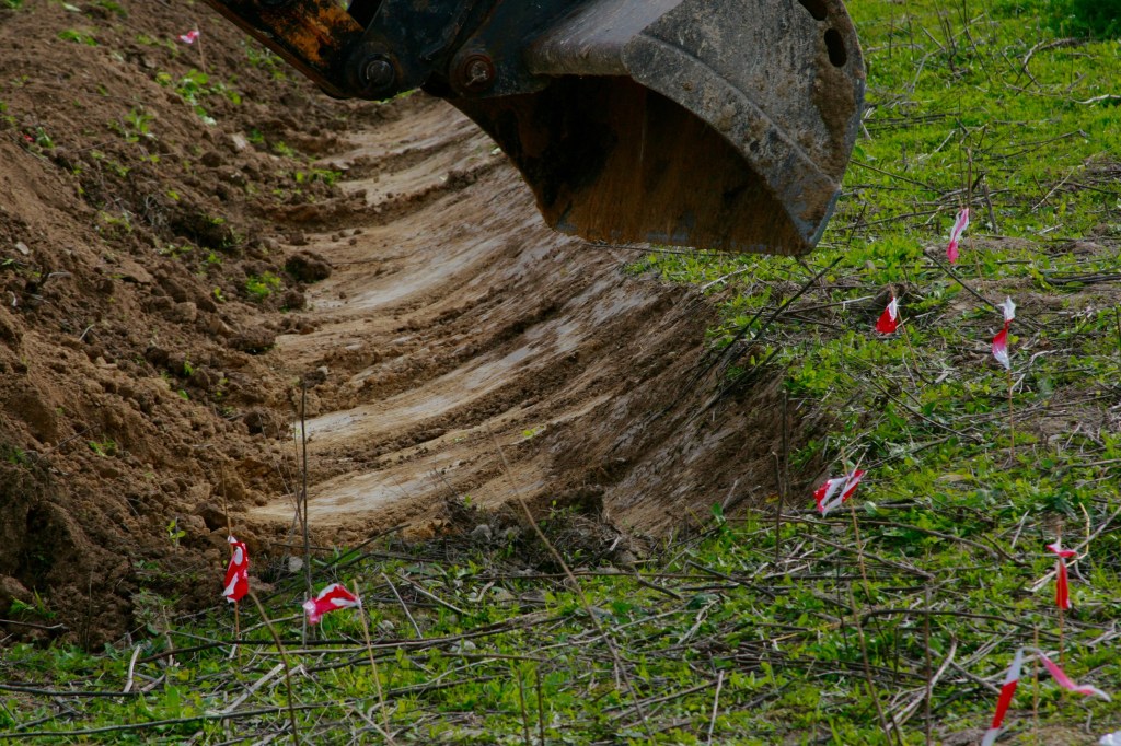 Christmas tree planting, 2016 South&nbsp;Spain