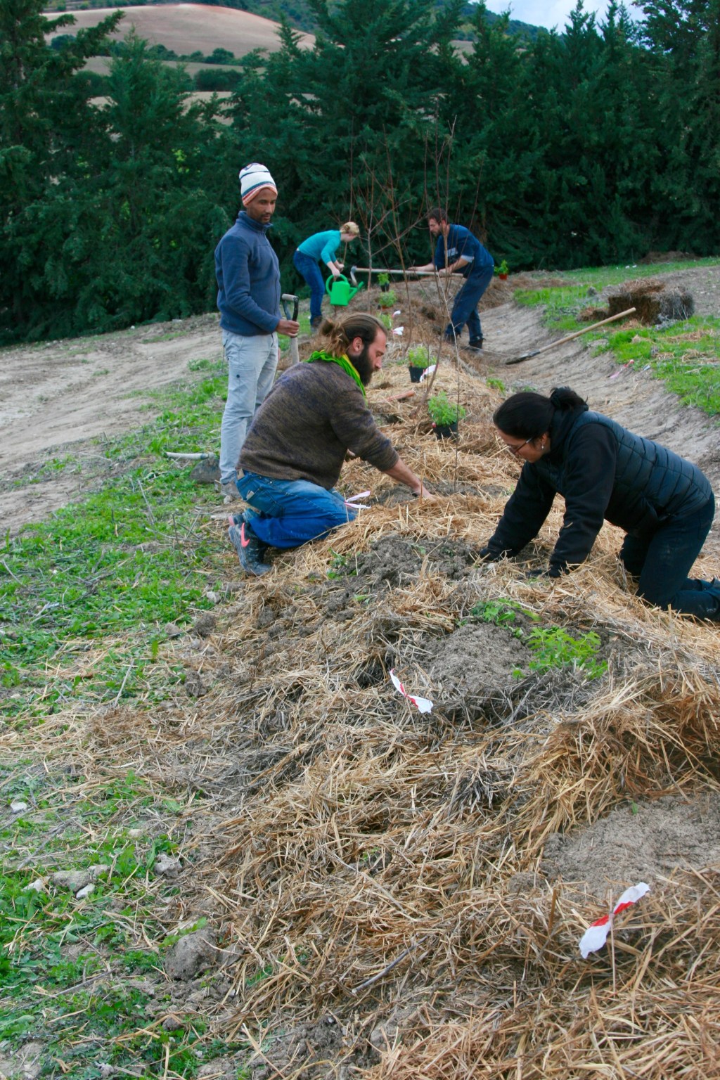 Course Recap: 10 day Earthworks and Food Forest.  Southern Spain, December&nbsp;2016