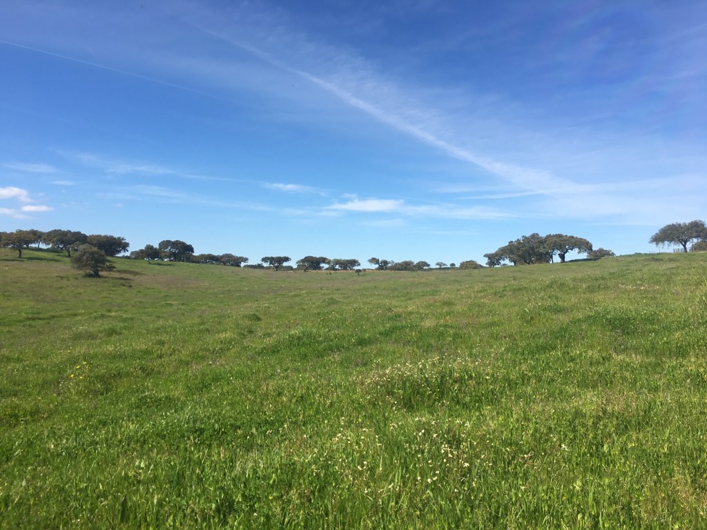 On the Road: Fair Share Consulting/ Implementation with Past students/ Past Projects