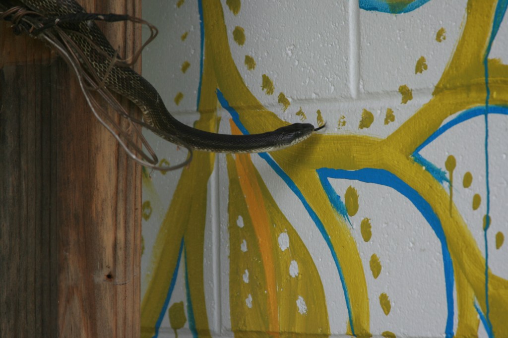 Project Update: Evolving a Scene: Treasure Lake, Northern Kentucky, USA