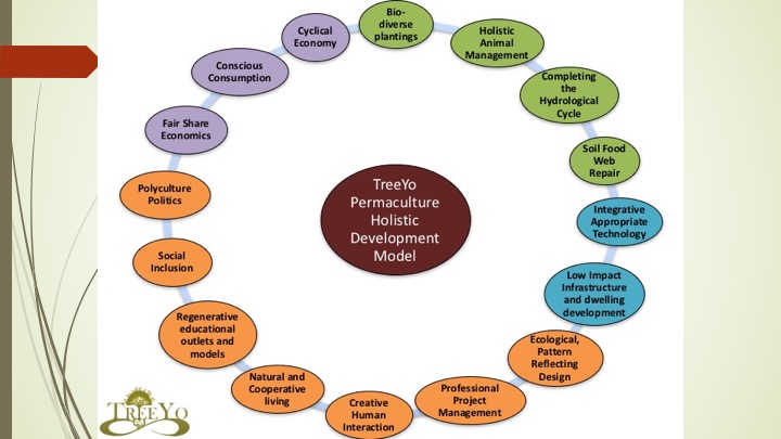 Treeyo Permaculture Holsitic Development Model: An angled Intro talk
