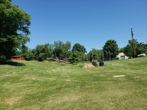 before permaculture Design