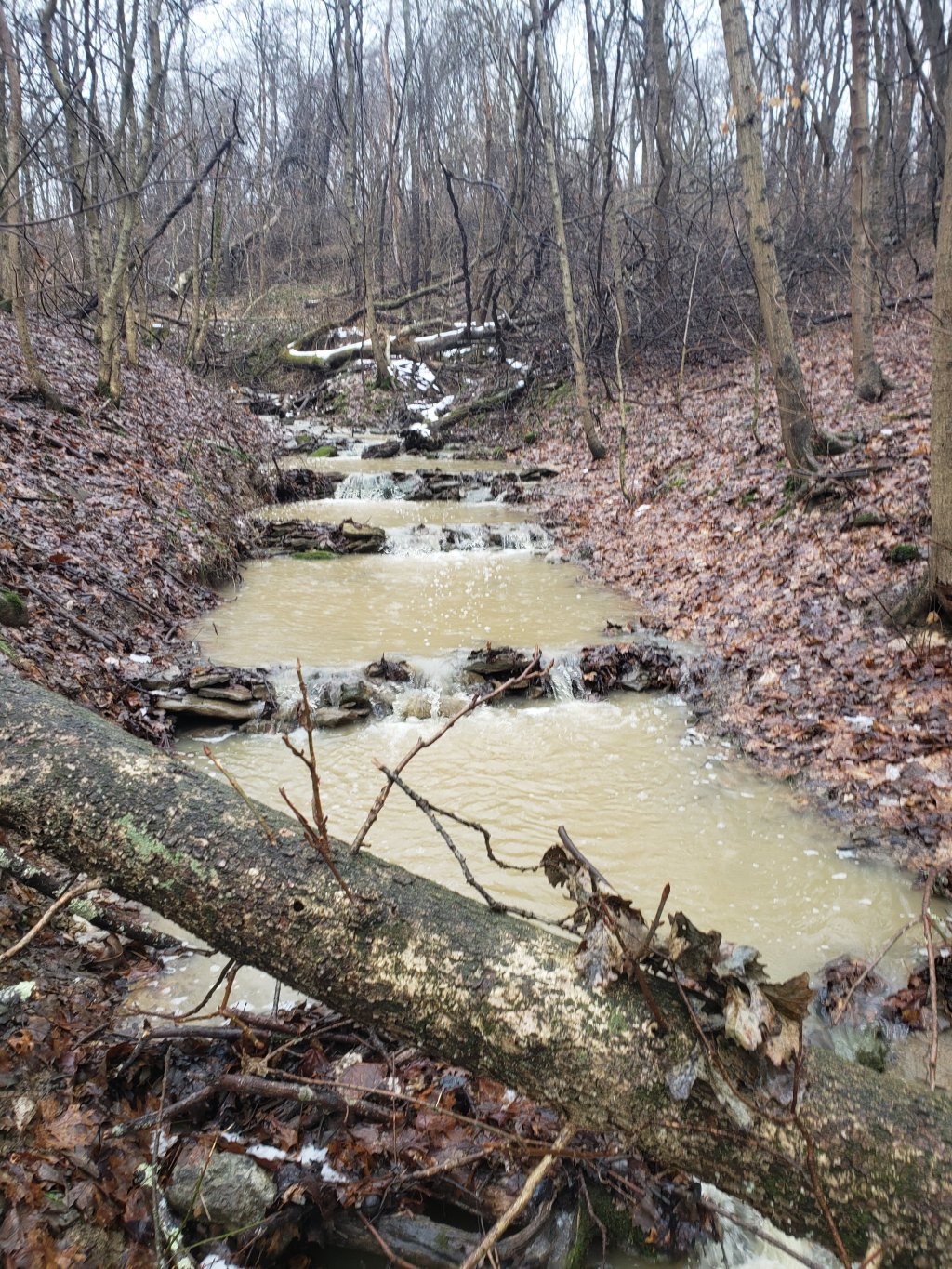 EDU Earthly Vlog from Treasure Lake, KY: Stream&nbsp;Repair