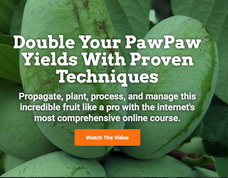 New Online Course:  The Paw Paw Master Class