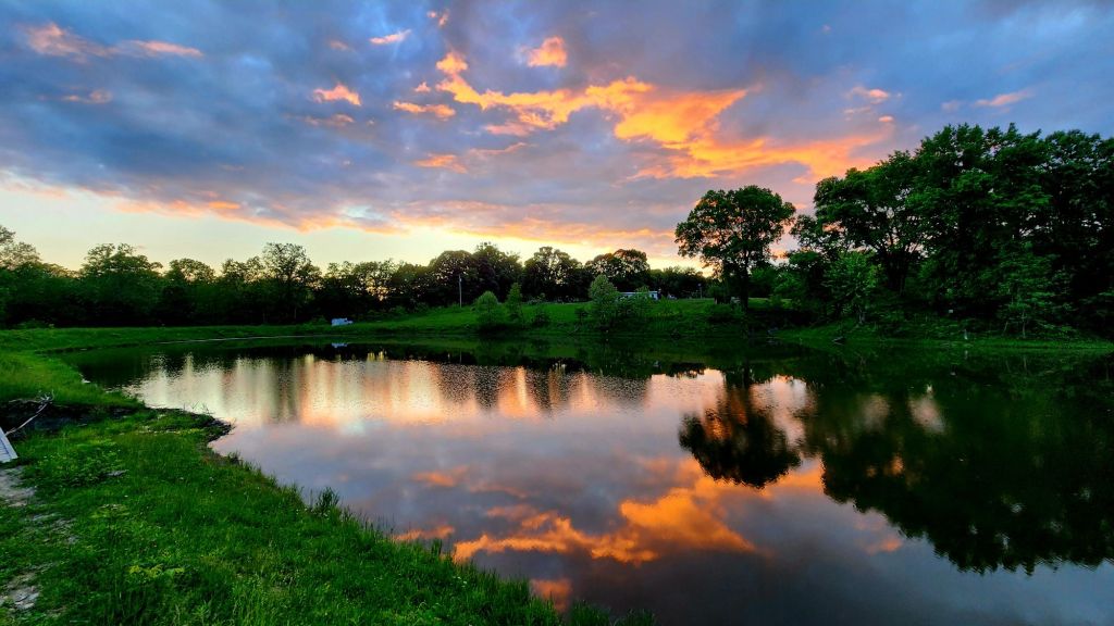 Farm Offerings: Flash Memorial Day Nursery Sale, homesteading class, kids camp, goats and produce for&nbsp;sale