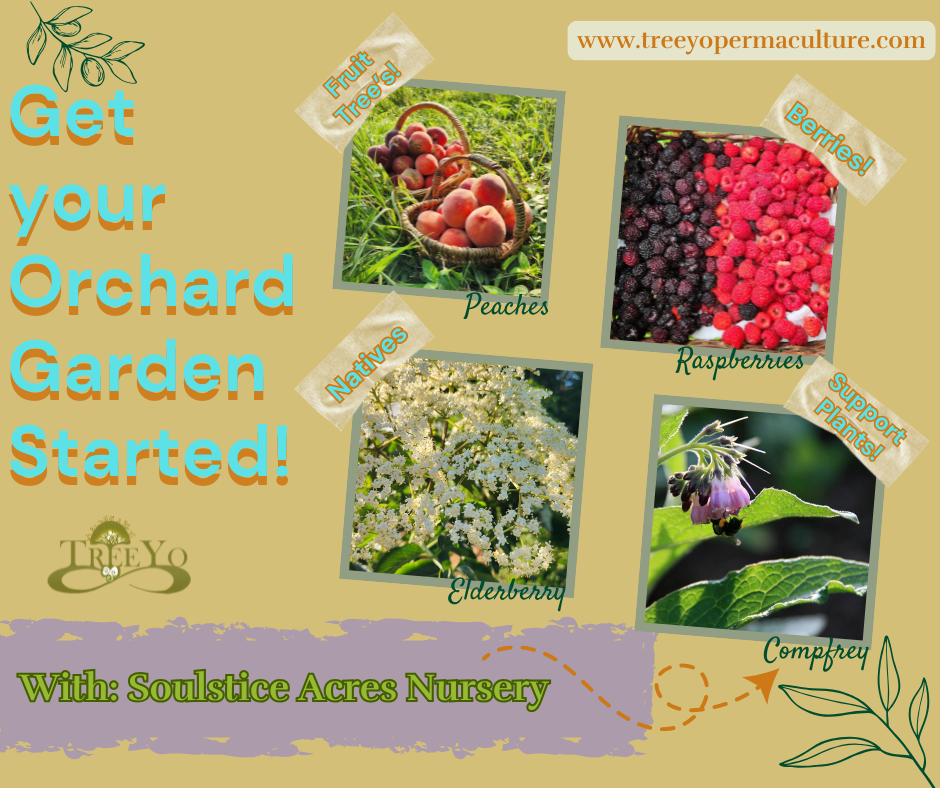 Soulstice Acres Nursery