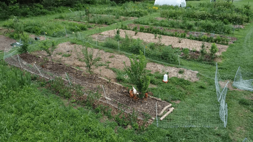 9 C’s of a&nbsp;Homestead