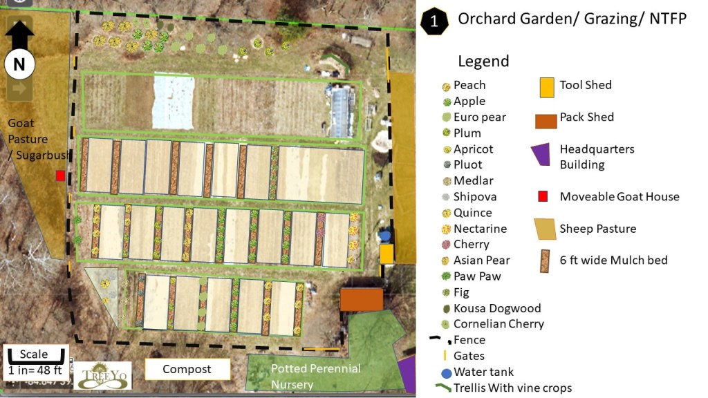 Our Food Forest&nbsp;Startup