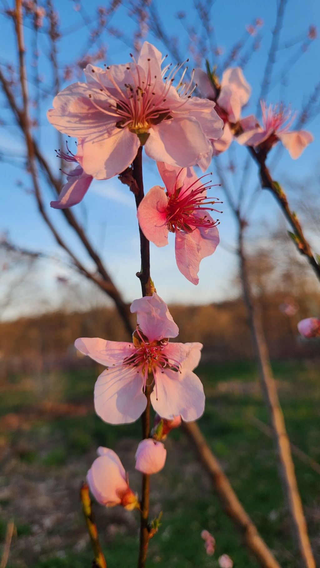 Upcoming Educational Opportunities: Spring&nbsp;2024