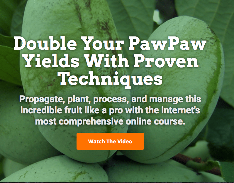 New Online Course:  The Paw Paw Master&nbsp;Class