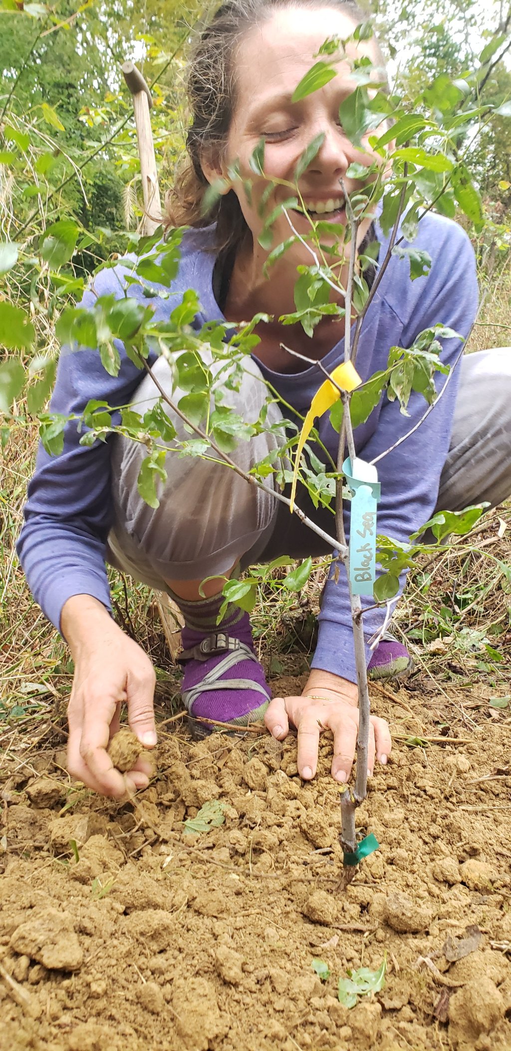 2020 Permaculture Design Courses: First&nbsp;Quarter