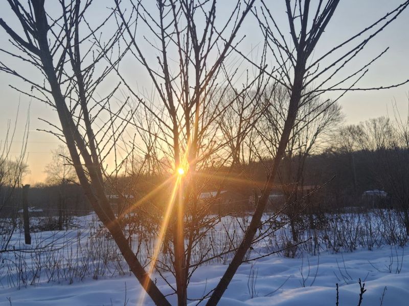 Winter Orchard Garden&nbsp;Doings