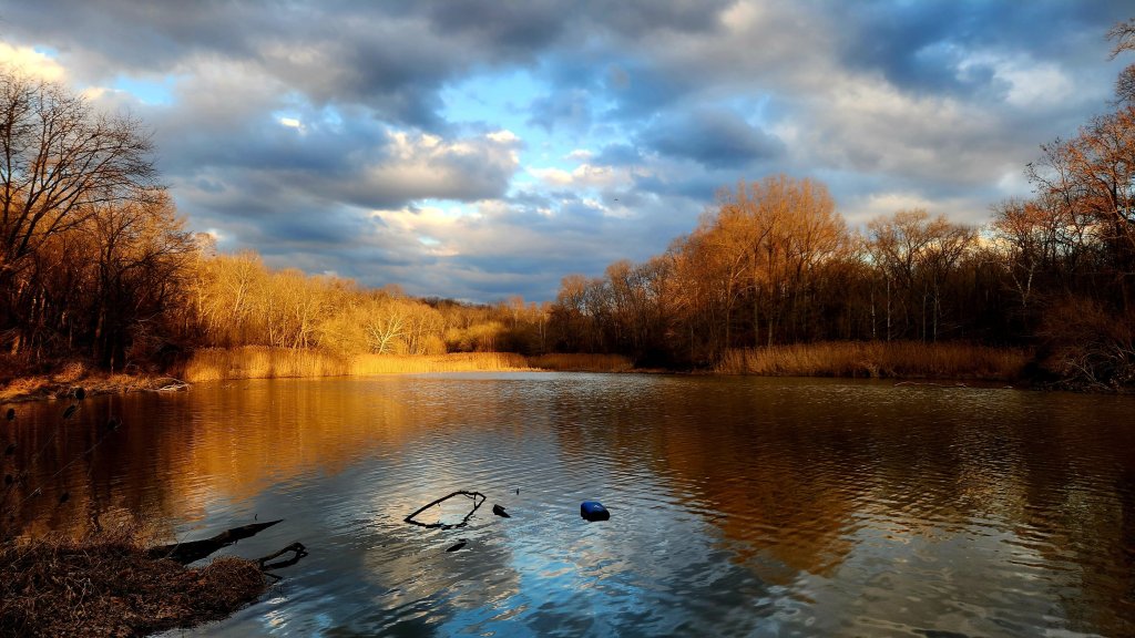 2023 Beginnings: Permaculture January Farm&nbsp;Happenings